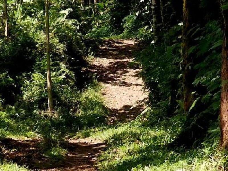 Jalan Menuju Darungan