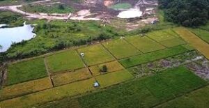 4 Hektar Tanah di Poso Disulap Jadi Lahan Produktif