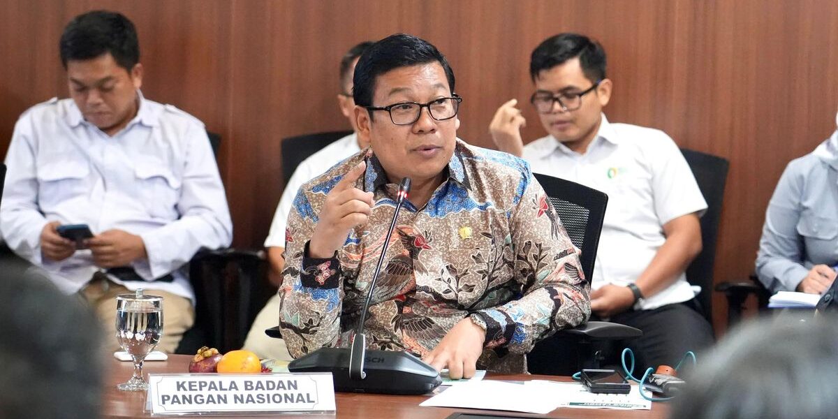Jejak Karier Arief Prasetyo Ahok Jokowi Prabowo