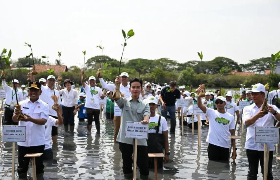 Gibran Bersama Gubernur Banten Andra Soni Tanam Mangrove