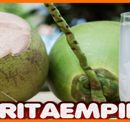 7 Manfaat Utama Air Kelapa untuk Mengembalikan Cairan Tubuh