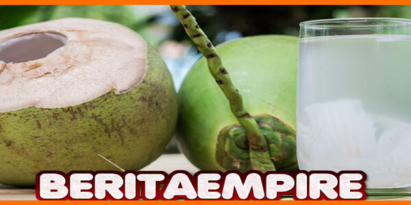 7 Manfaat Utama Air Kelapa untuk Mengembalikan Cairan Tubuh