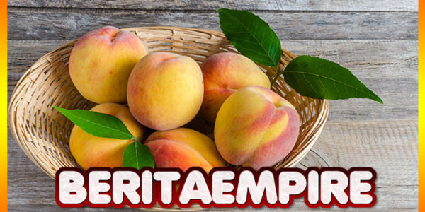 Buah Persik Bantu Jaga Jantung Dan Bikin Kulit Cantik dari Dalam