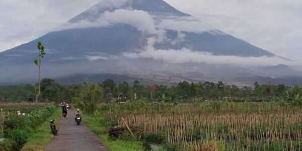 Getaran Awan Panas Semeru