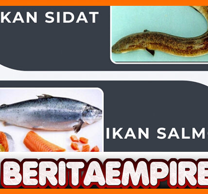 Ikan Sidat Ternyata Punya Omega 3 Lebih Tinggi Dari Salmon