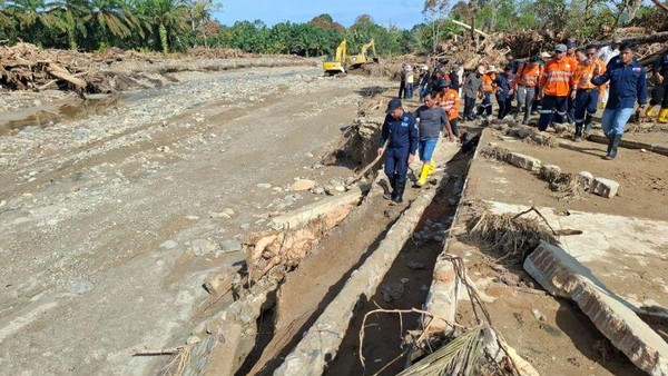 Menteri LH: Gelondongan Banjir Sumatera Bukan dari Batang Toru