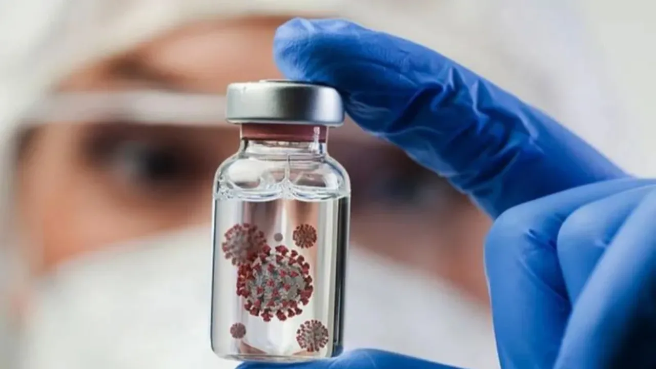 Asal Usul Nama Virus Nipah