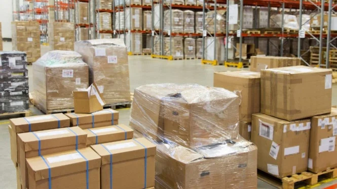 Profil Blueray Cargo