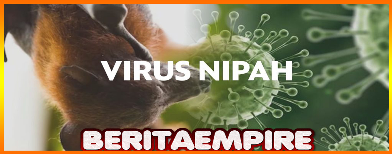 Virus Nipah Mengendap Di Alam, Ancaman Bagi Manusia