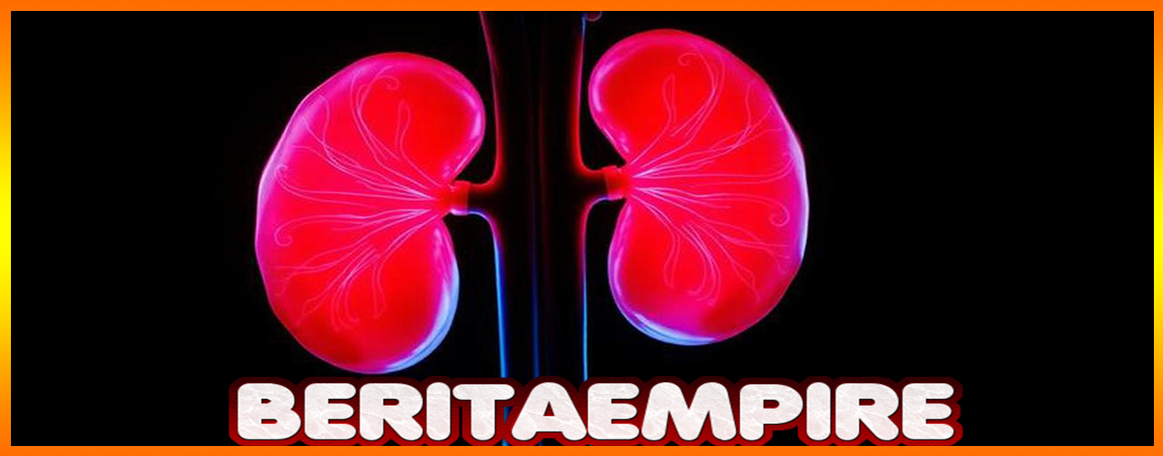 Kanker Ginjal Bisa Terjadi Pada Orang Yang Menerapkan Gaya Ini