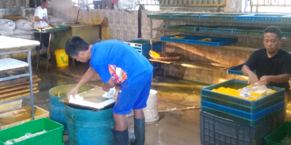 Harga Kedelai dan Plastik Melesat Naik